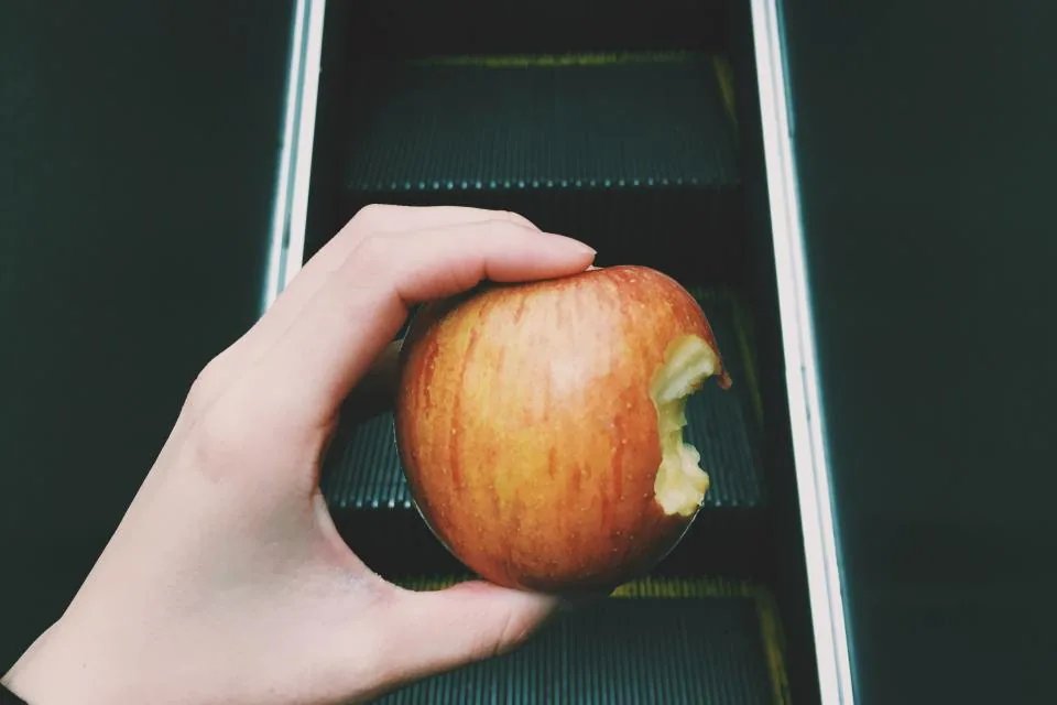 מרווה ורוזמרין, תיבול לבשר ולתפוחי אדמה