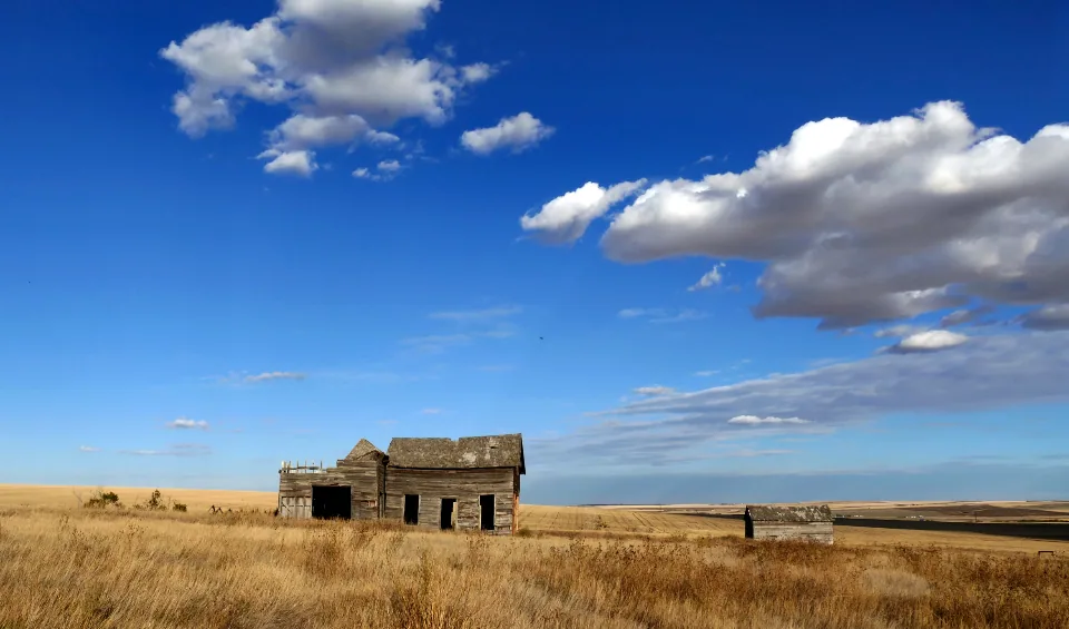 10 רעיונות לארוחות טבעוניות מתוצרת שוק האיכרים