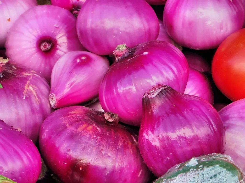 סיבים מסיסים ולא מסיסים, מה ההבדל בצלחת
