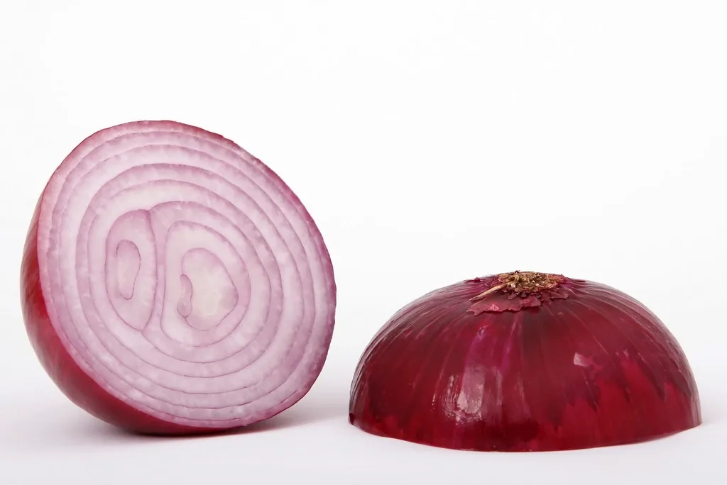 כרישה עדינה, חלופה מעודנת לבצל