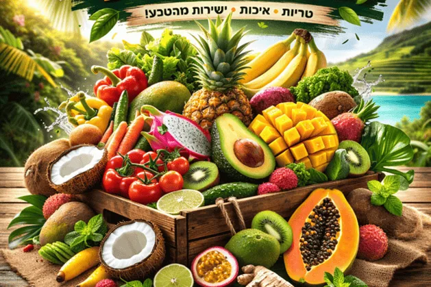 מנוי פירות לעובדים: מה חשוב לרכש ולכספים (חשבוניות/דיווחים/אישורים) לפני שסוגרים?
