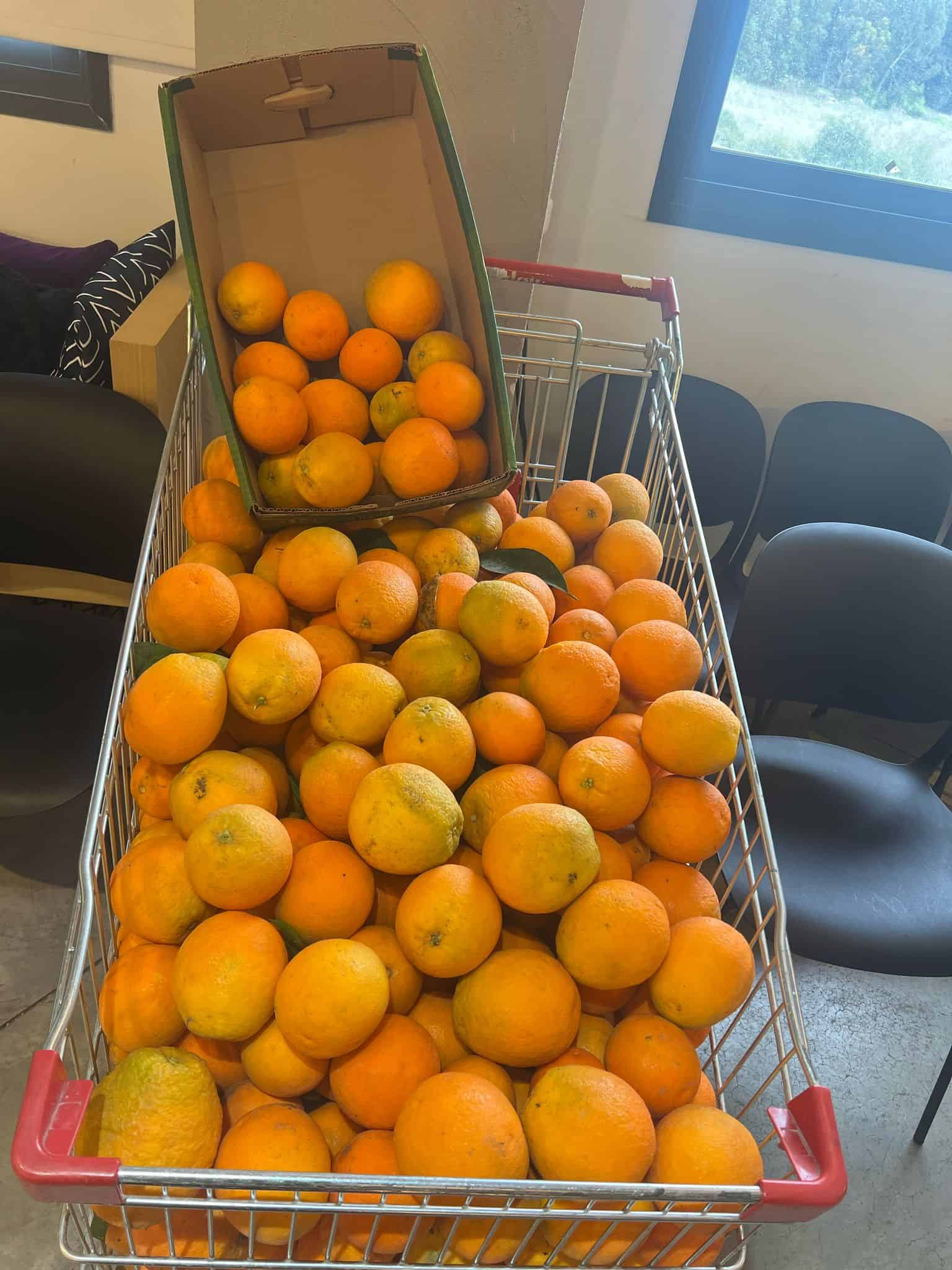מארזי מתנה ממותגים