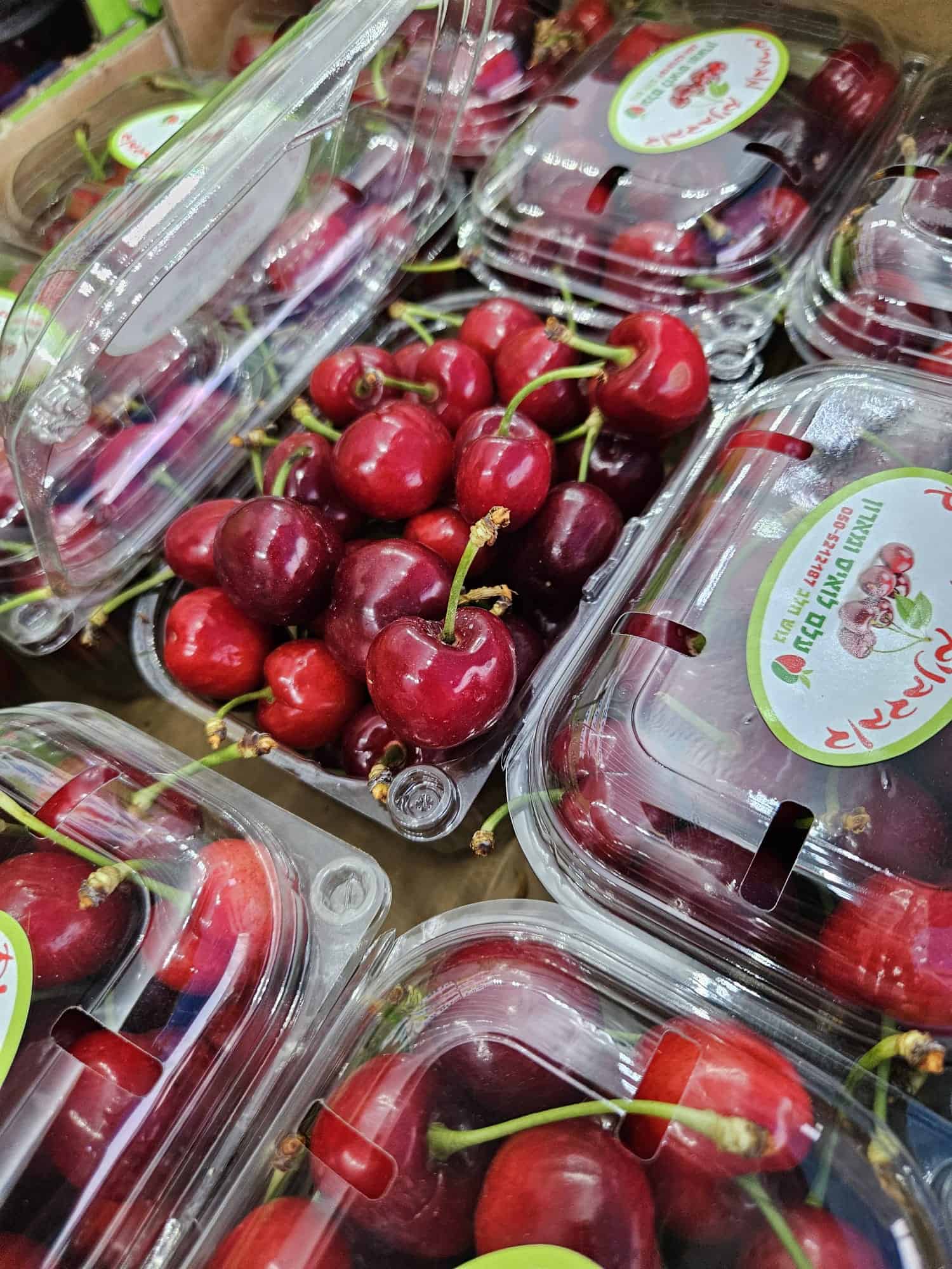 תוצרת ישר מהשדה